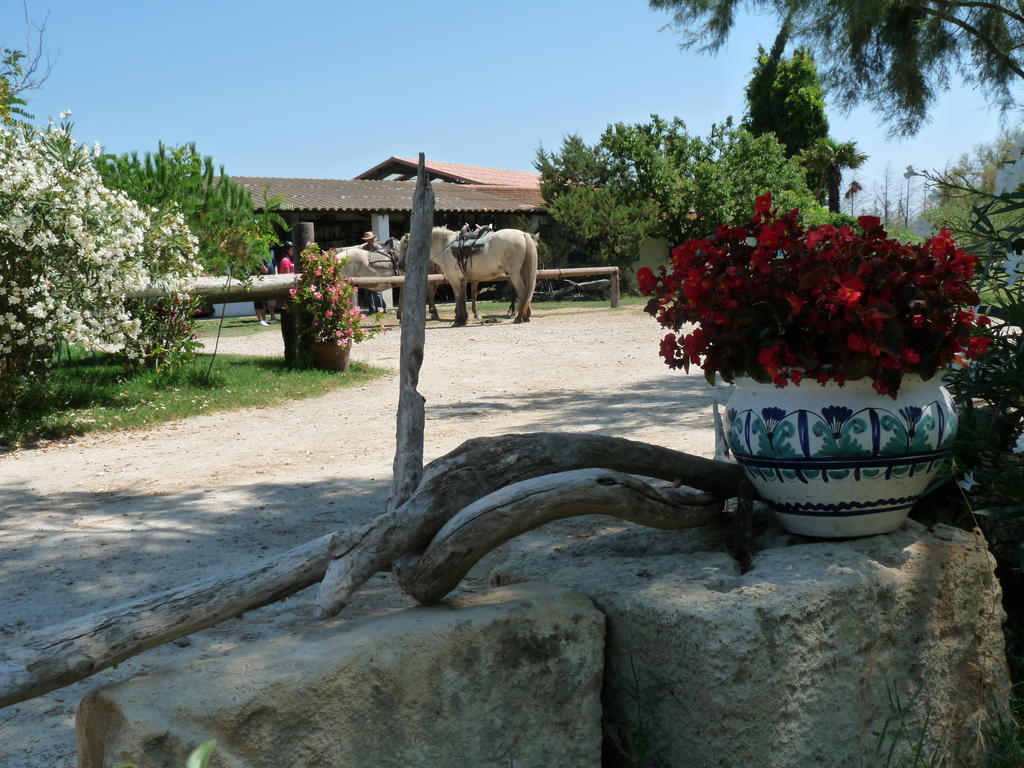 Bed and Breakfast Bergerie D'Alivon En Camargue Albaron Экстерьер фото